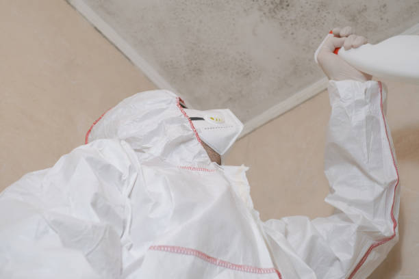 Water Damage Restoration in Celebration, FL